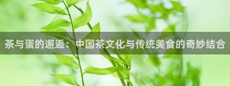 龙八国际最新版本下载