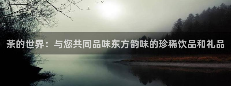 龙八国际赌博经验