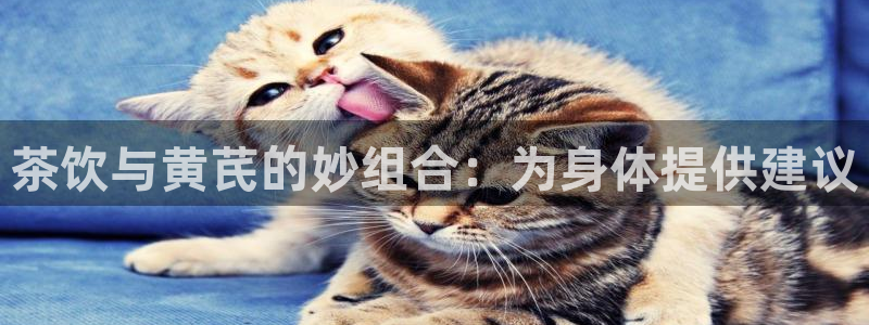 龙八国际娱乐 pt