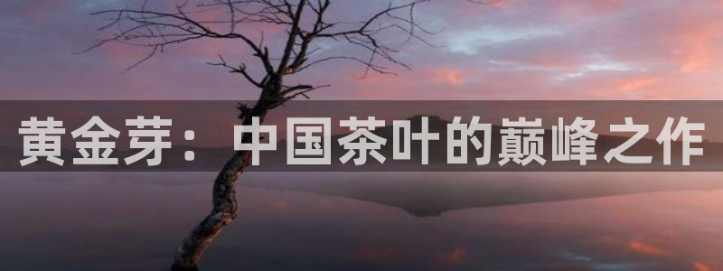 龙八国际娱乐官方网址