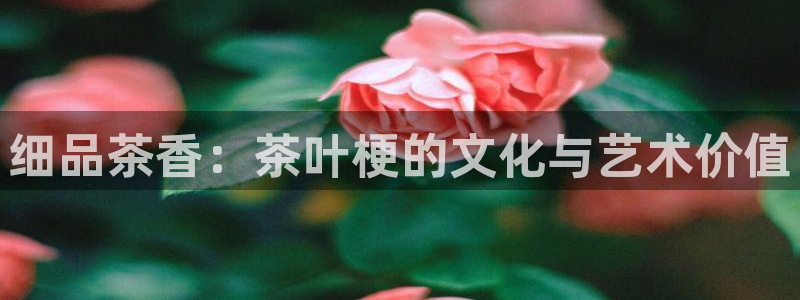 龙八国际这个平台在哪里