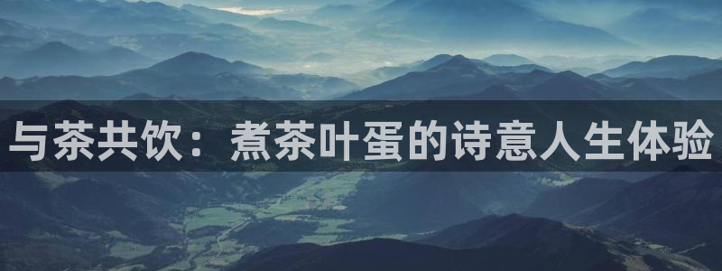 龙八国际代理登陆