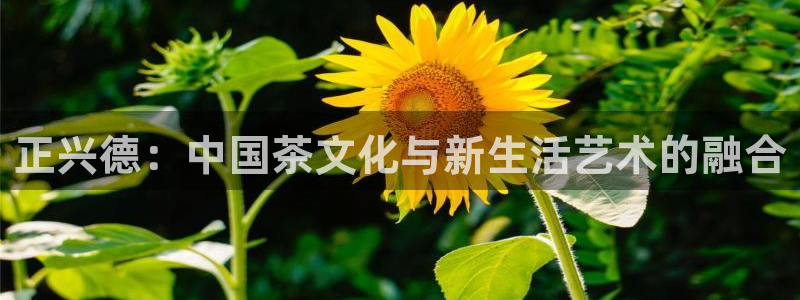 龙八国际软件下载