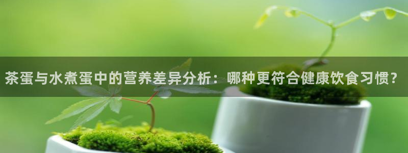 龙八国际棋牌官方网站