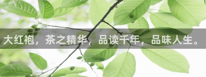 龙八国际娱乐官方网址