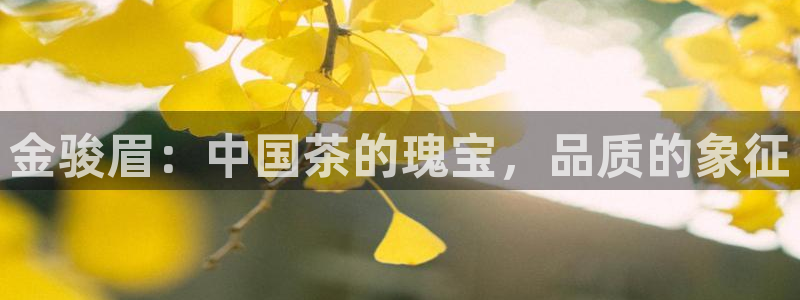 龙八国际娱乐网