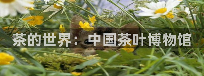 龙八国际官网客户服务