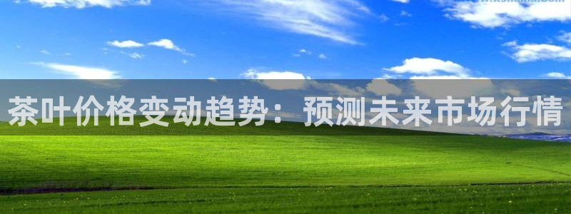 龙八国际登官网
