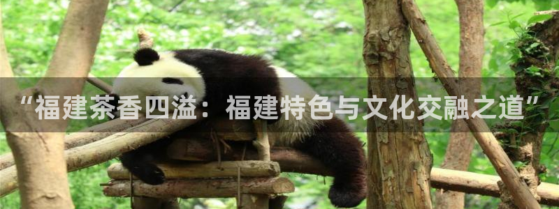 龙八国际游戏登录