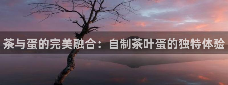 龙八国际官方网址