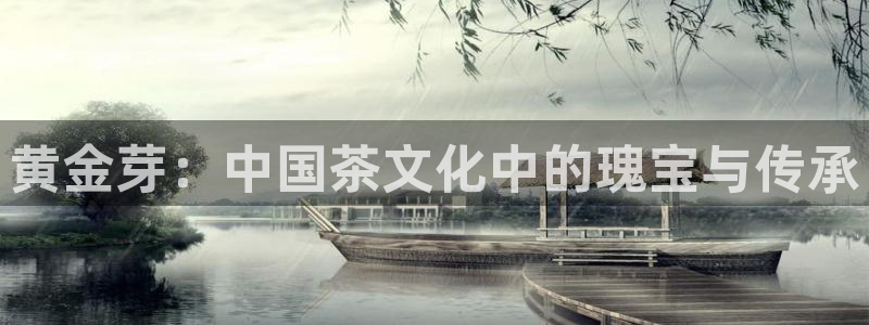 龙八国际是缅甸的吗