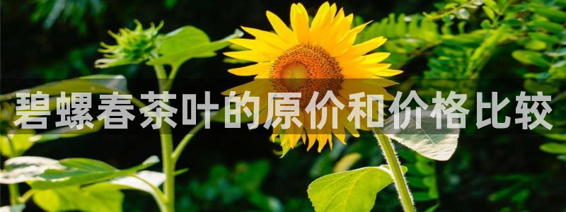 龙八国际娯乐城软件下载