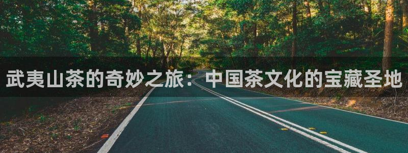 龙八国际官方下载