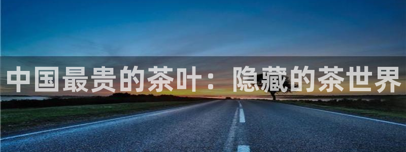 龙八国际官方网站app登录