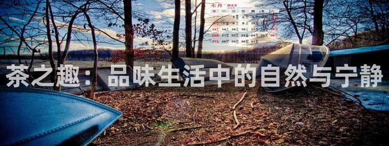 龙八国际怎么注册手机端