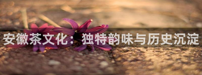 龙八国际娯乐城