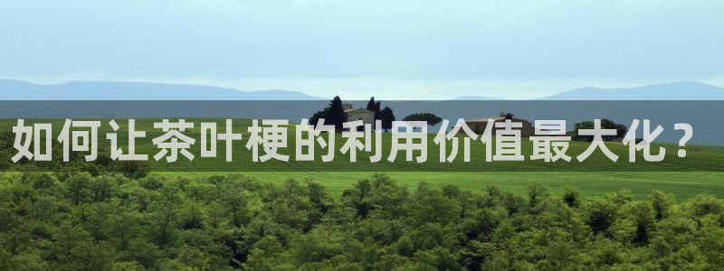 龙八国际城客运站电话