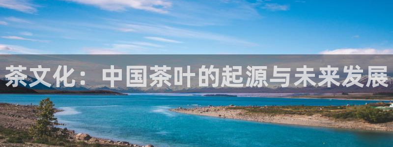 龙八国际官网苹果