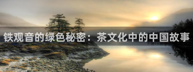 龙八国际娱手机