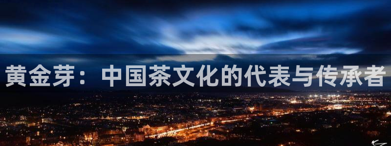 龙八国际头号玩家是谁啊