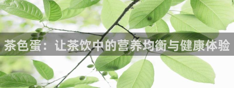 龙八国际不支持苹果手机
