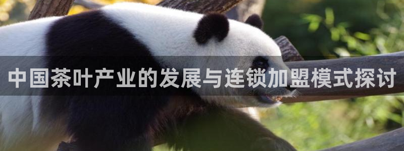 龙八国际免费下载