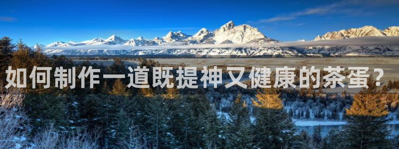 龙八国际app官方网站