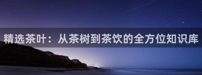 龙八国际是干什么的