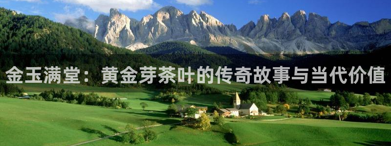 龙八国际服官方