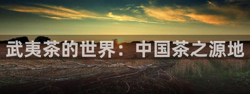 龙八国际APP官方版