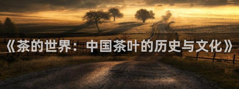 龙八国际是个什么游戏机