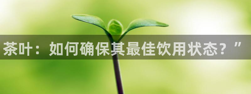 龙八国际娱乐官网app