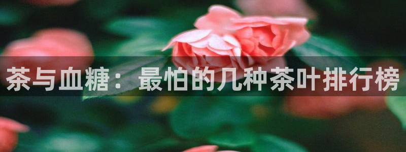 龙八国际娱乐二维码