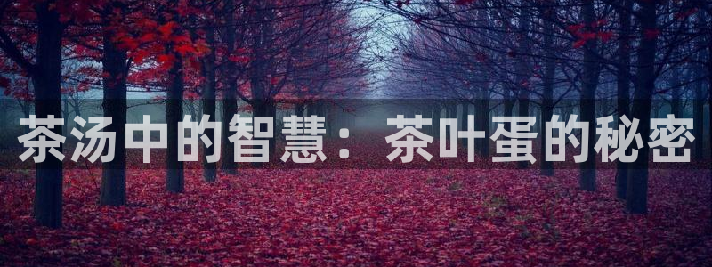 龙八国际手机版下载注册