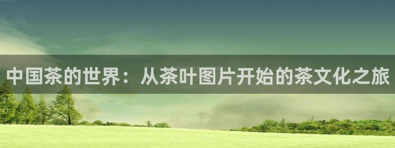 下载龙八国际手机版手游