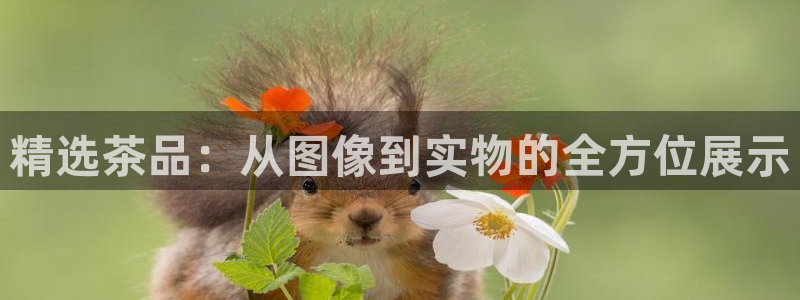 龙八国际有没有假