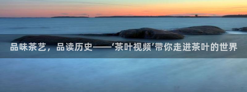 龙八国际官网app