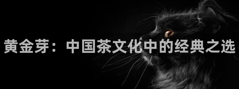 龙八国际官网下载