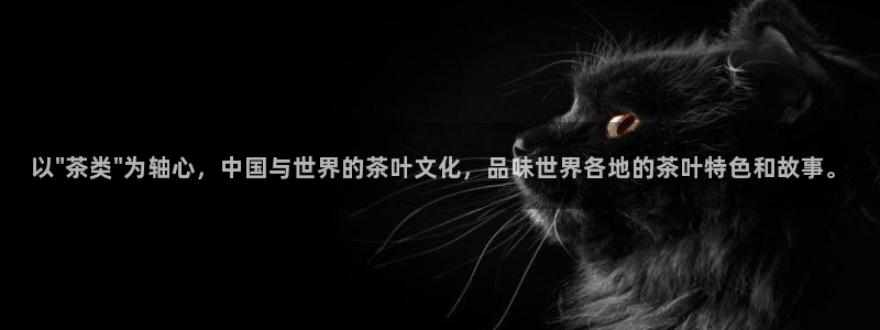 龙八国际怎么注册app