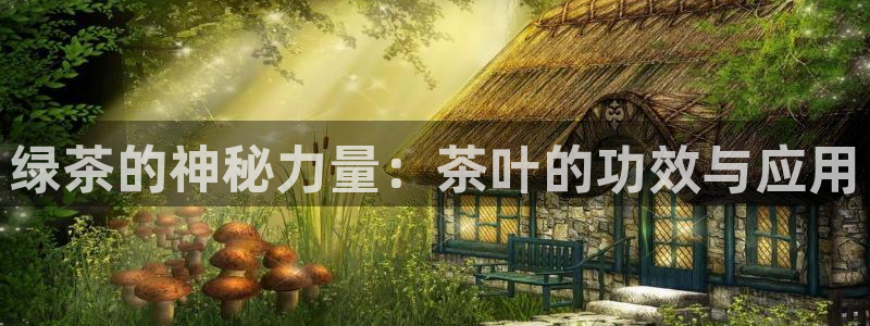 龙八国际app联系方式