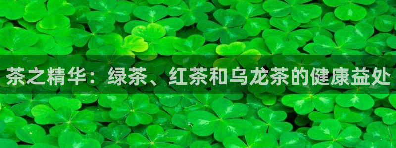 龙八国际怎么注册app