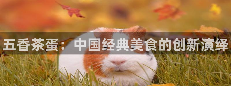 龙八国际黑不黑