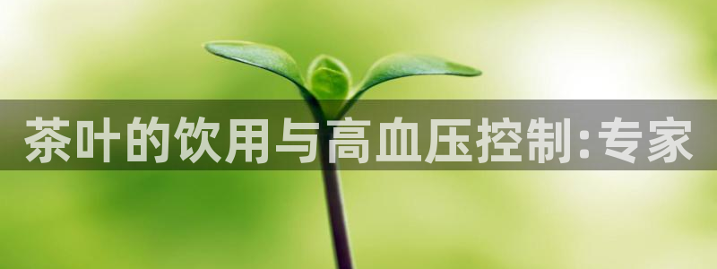 龙八国际玩什么游戏能赢