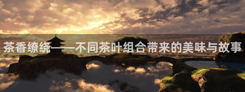 龙八国际是什么