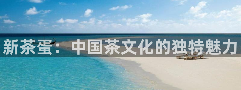 龙八国际娱乐在线游戏