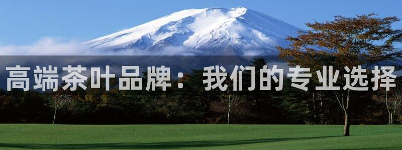 龙八国际游乐城