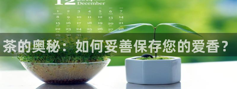 龙八国际客服端登录