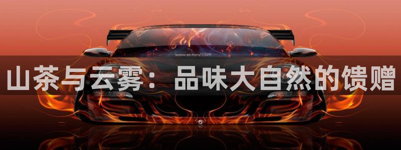 龙八国际老虎机下载