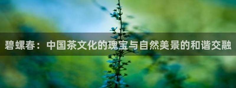 龙八国际手机版下载地址