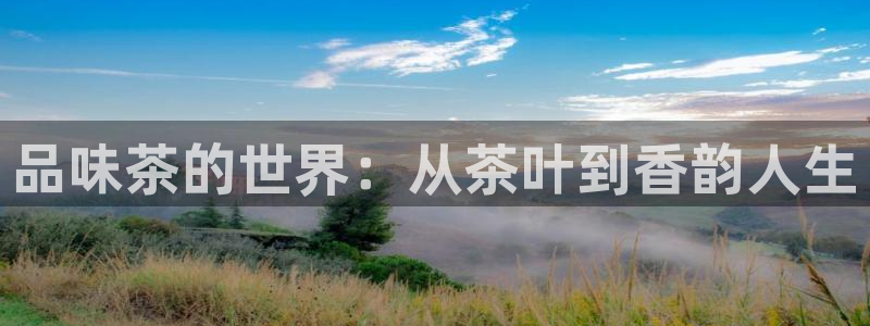 龙八国际app客户下载